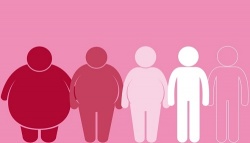 Ожирение может быть побеждено благодаря применению белка естественного происхождения