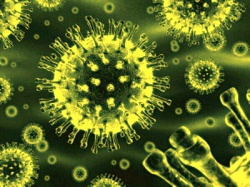 Памятка по профилактике гриппа и коронавирусной инфекции