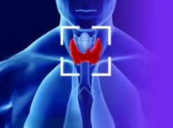 Thyronostics V1, генетический тест для диагностики рака щитовидной железы прошел регистрацию в «Перечне сведений о результатах, полученных в рамках НИОКТР" в государственной системе ЕГИСУ НИОКТР