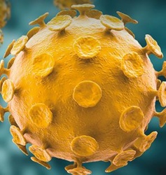 Роспотребнадзор сообщает: как защититься от коронавируса в России